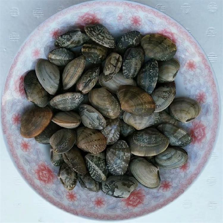 总结