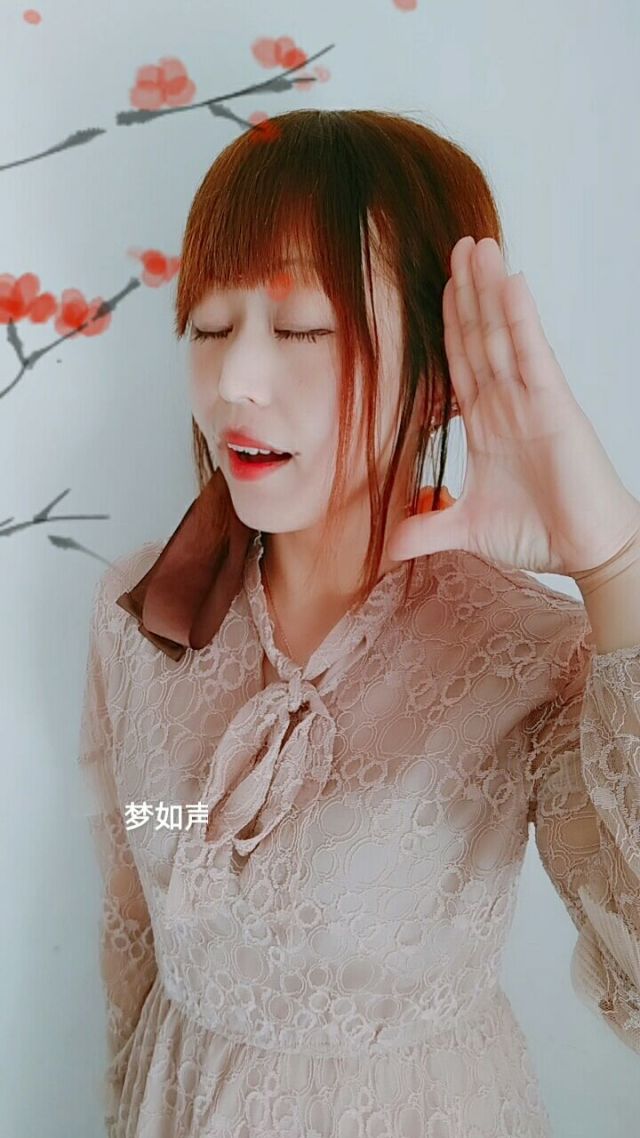 歌曲歌词