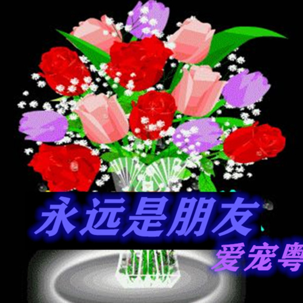 铭记友谊之美