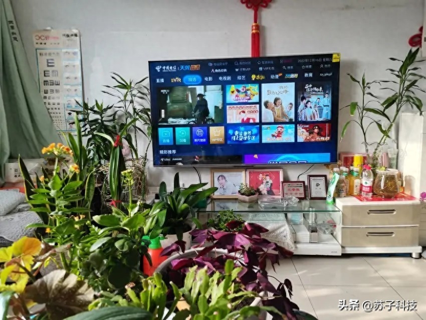 hisense是什么牌子电视机(Hisense品牌介绍)