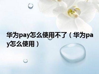 华为支付
