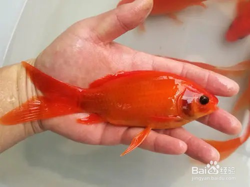 2.水质控制
