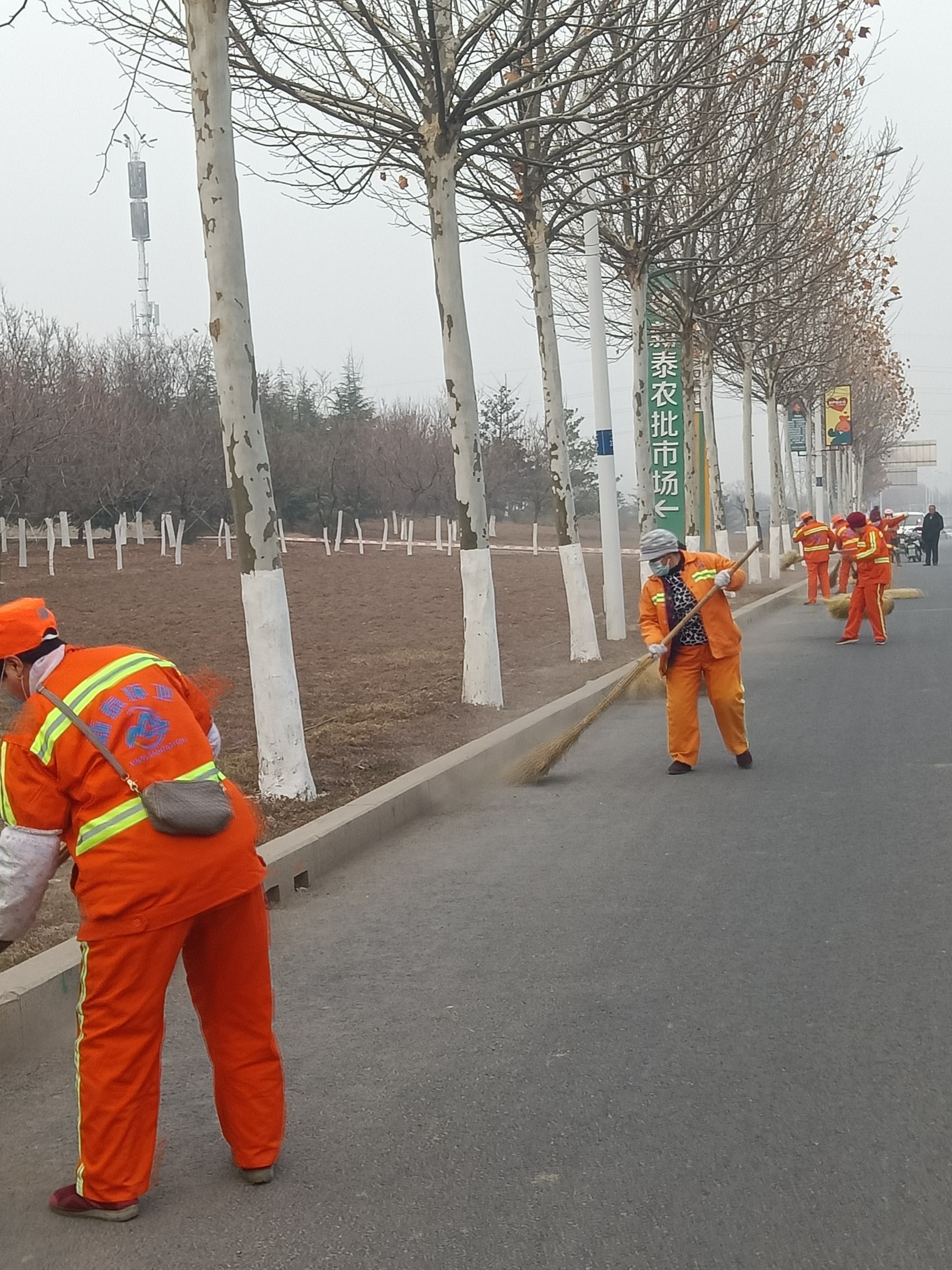 让我们一起共建美丽的城市
