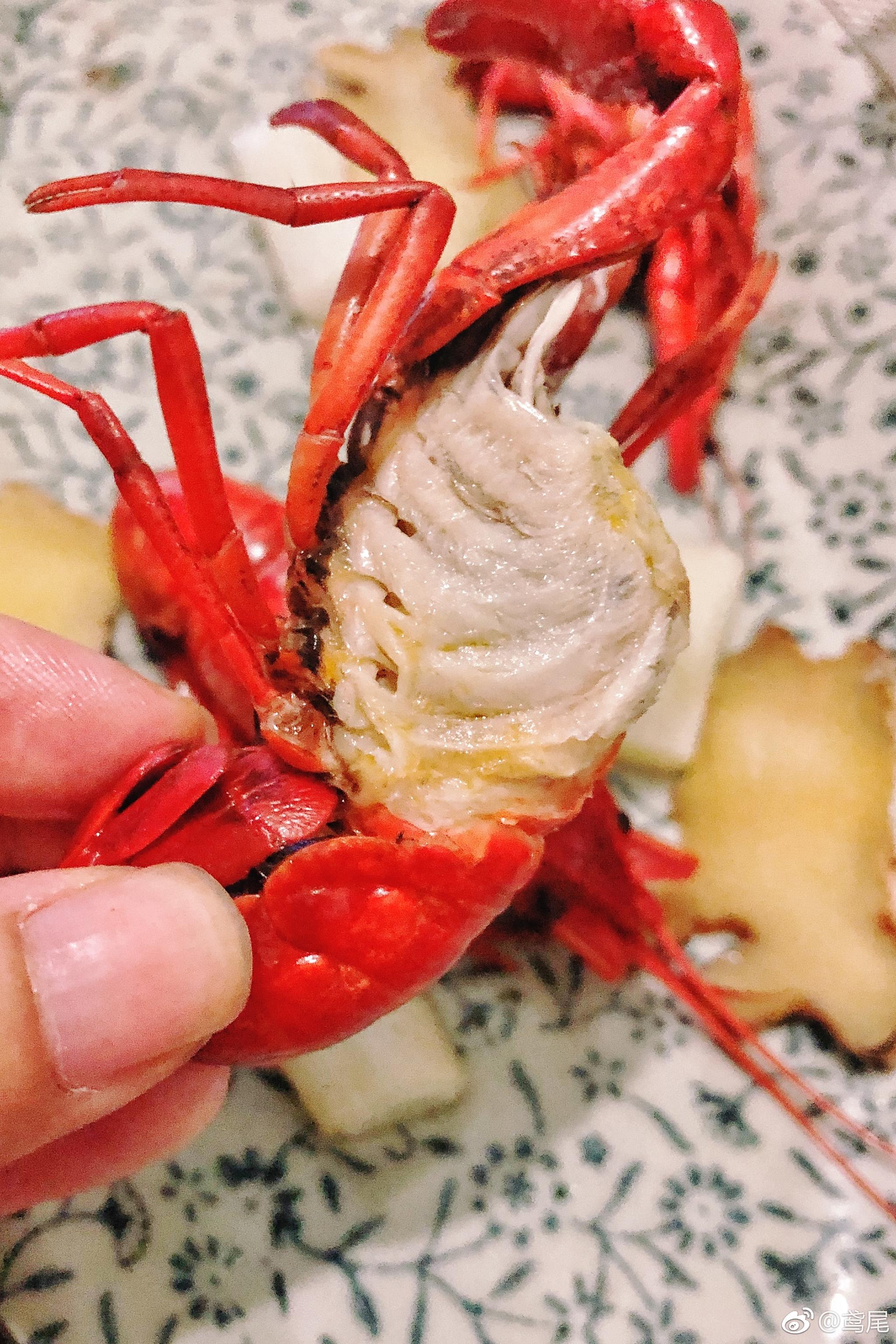 2. 蟹和小鱼