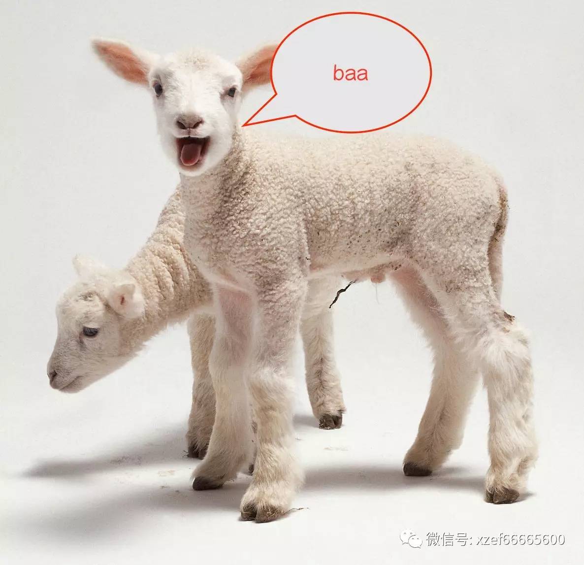 pleasant的用法
