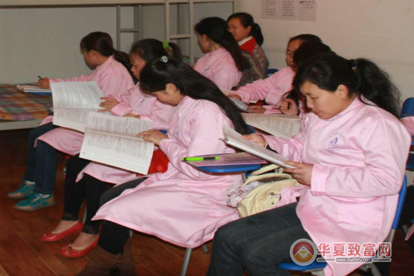 高效的保洁服务