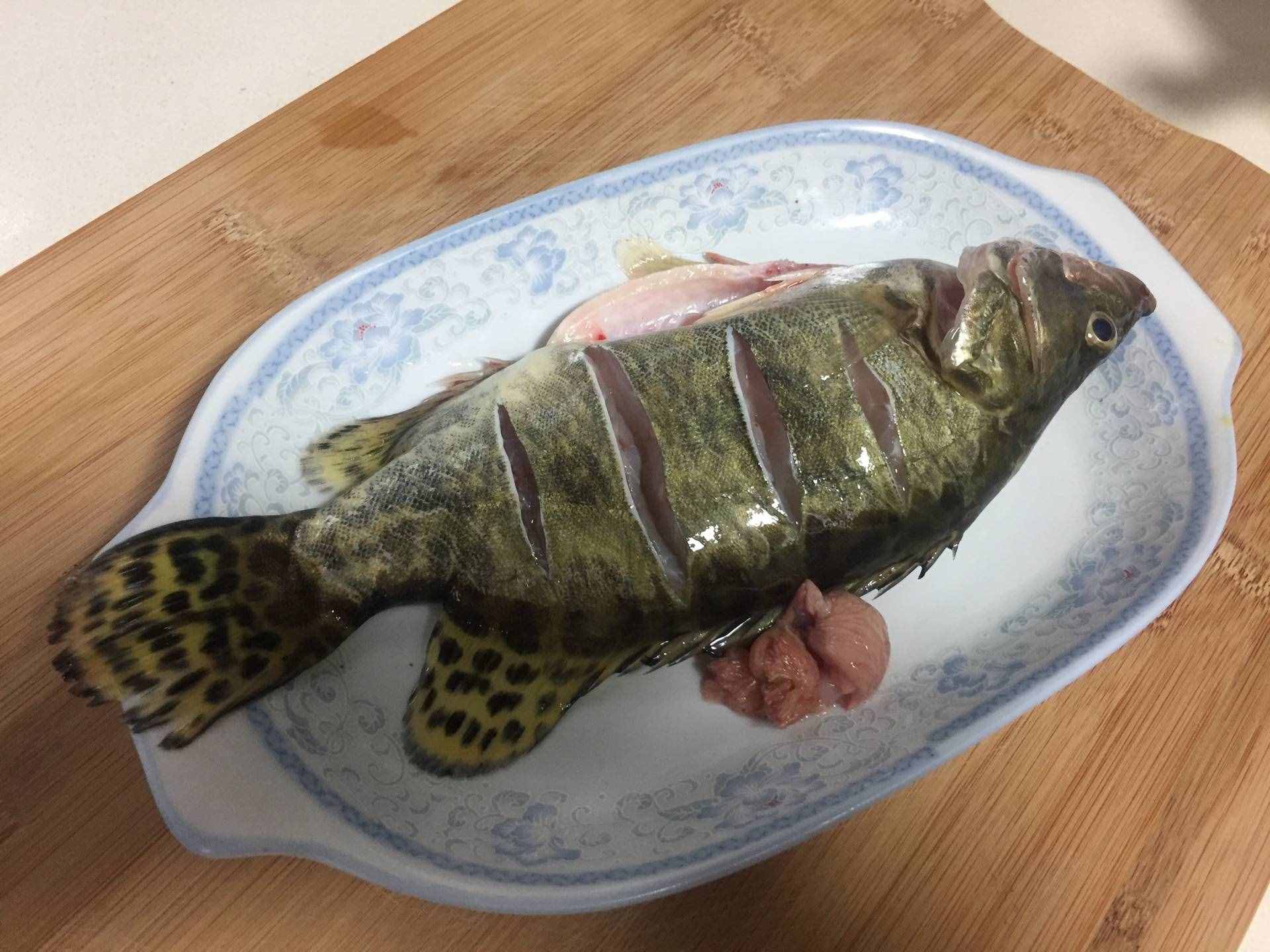 养殖建议