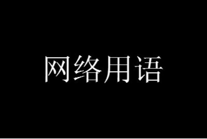 深入了解流行语，了解潮流文化
