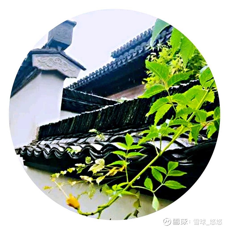 逍遥歌的文学价值