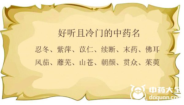 冷门又好听的姓