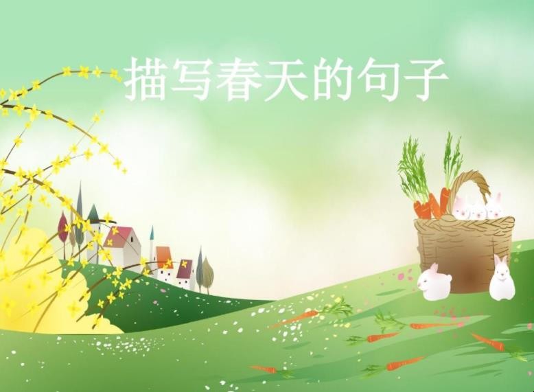 欣赏春天的美丽
