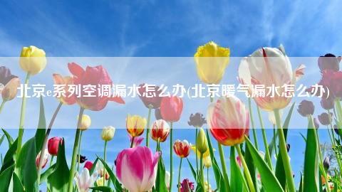 方法二：排除堵塞