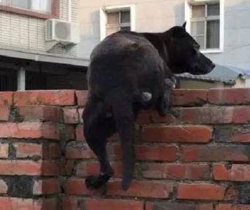 结语