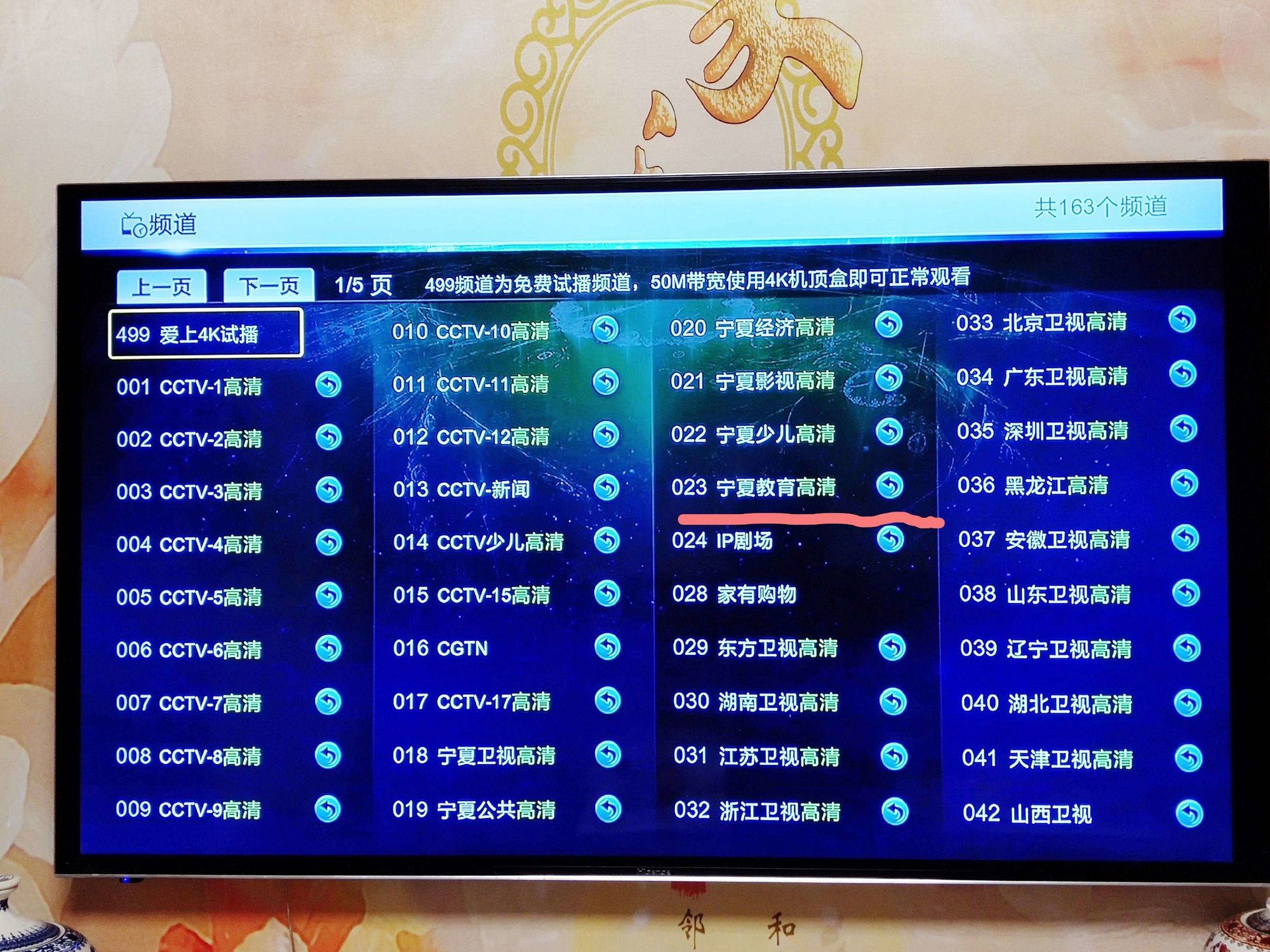 网络电视台直播在线观看