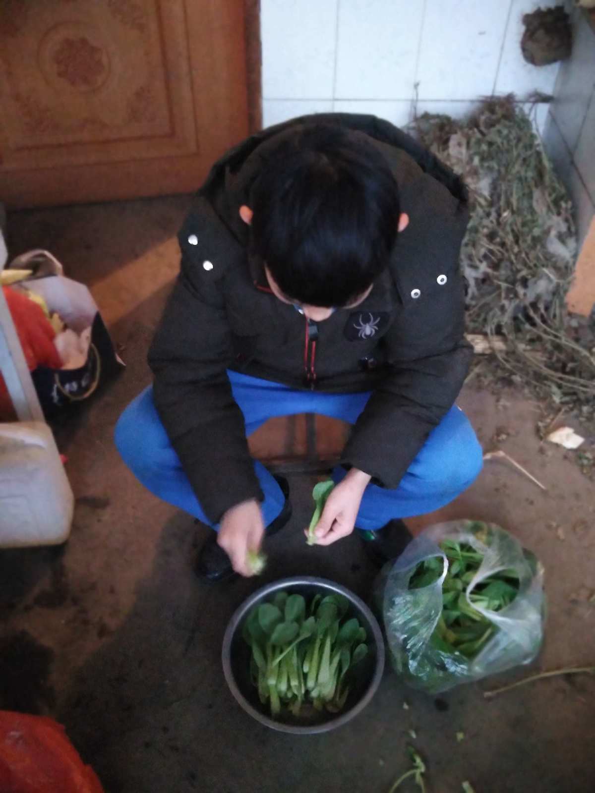 做饭+做家务一个月多少钱?