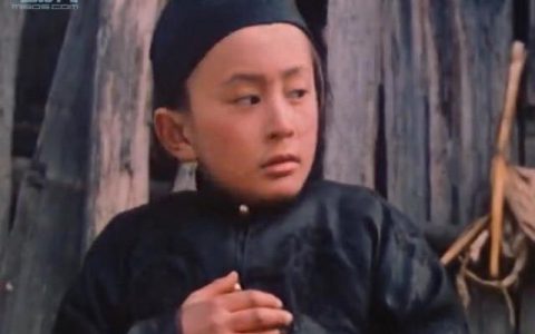 自古英雄出少年演员表介绍(小鲜肉荟萃引关注-影视圈新生力量)