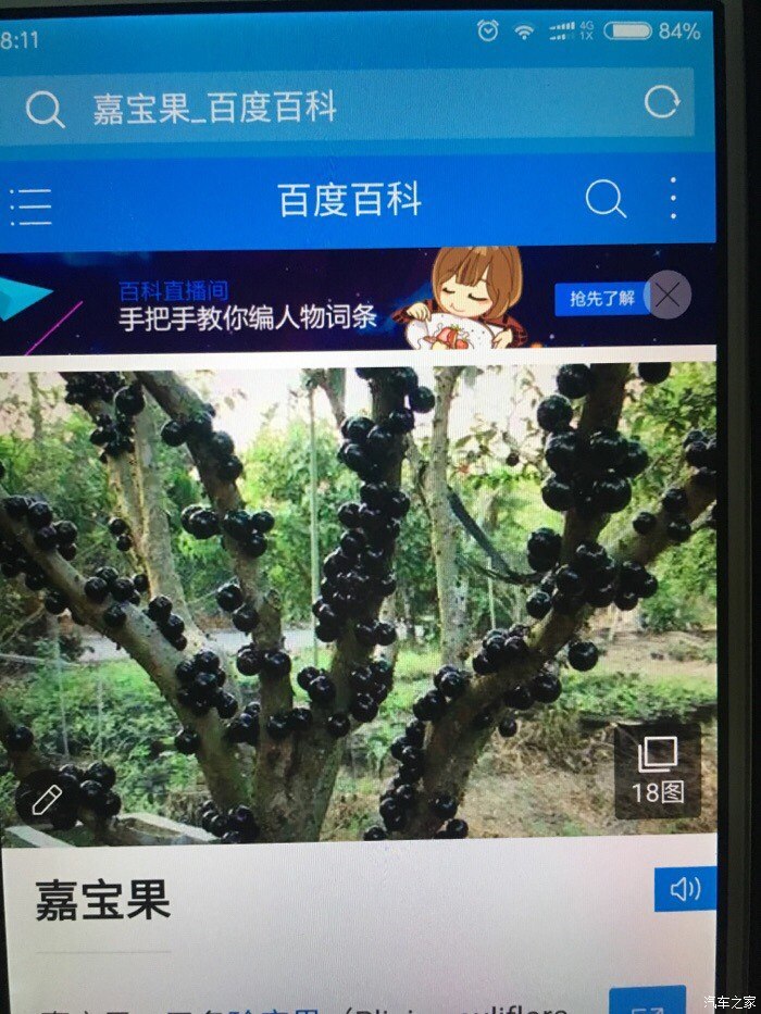 步骤