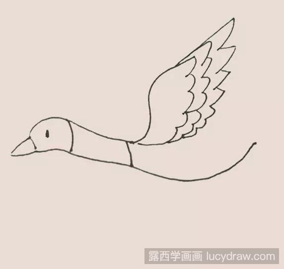 Step1: 画出大雁的轮廓