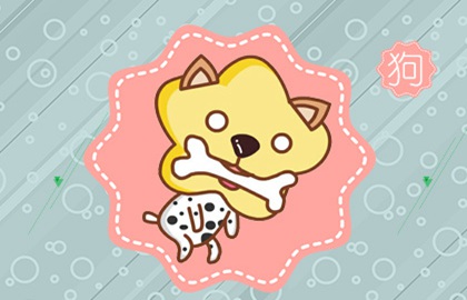 狗和猴搭配是真的吗？