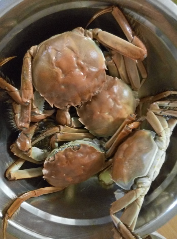 清洗步骤