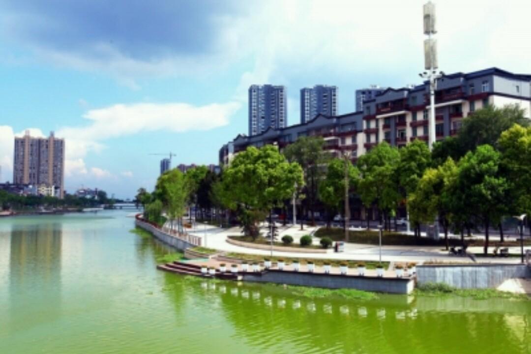 洪湖市的概况
