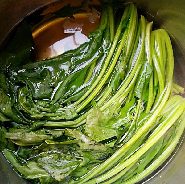 菠菜的营养