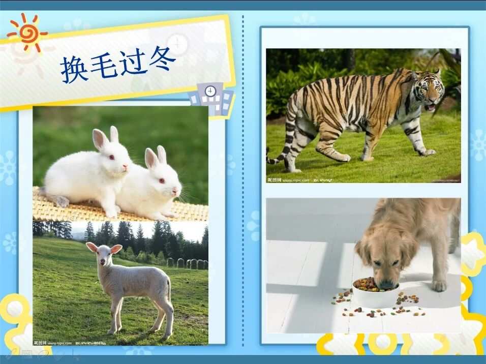 温暖的色调