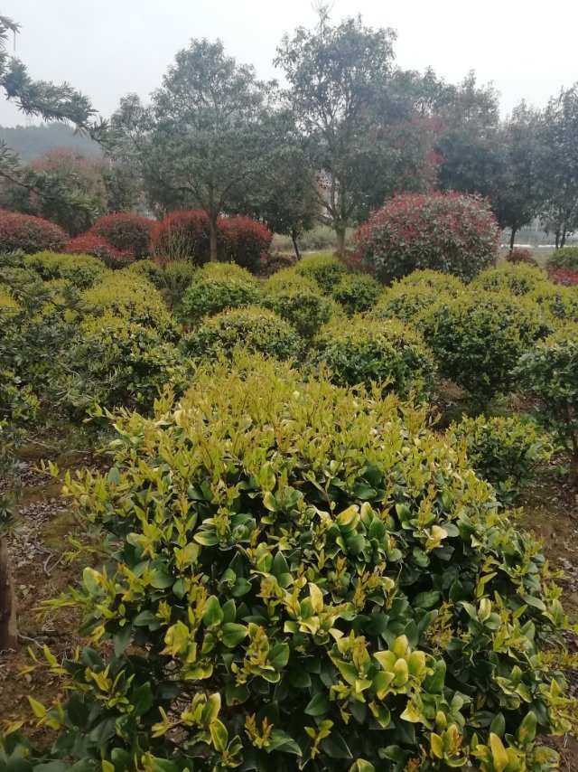 静心感悟
