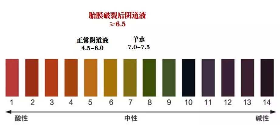 PH值4.4对妇女健康的影响