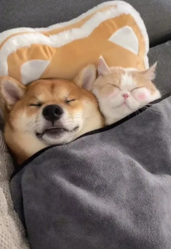 解决方法