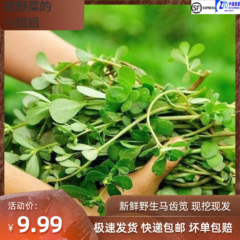 结语