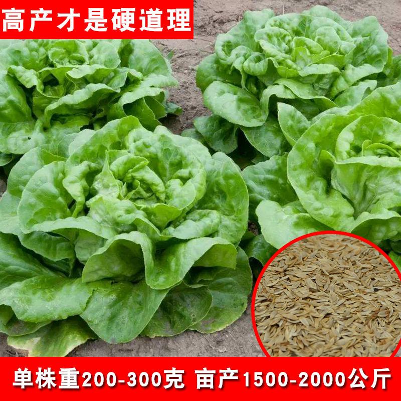 结论