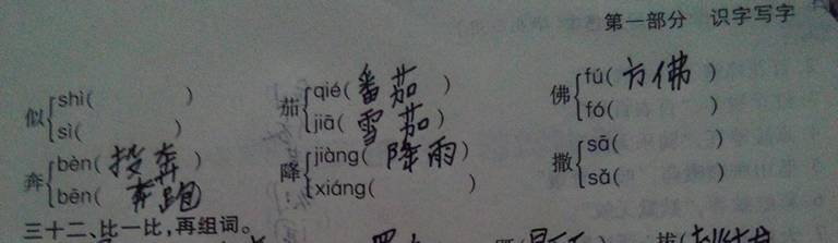常用的灶具种类