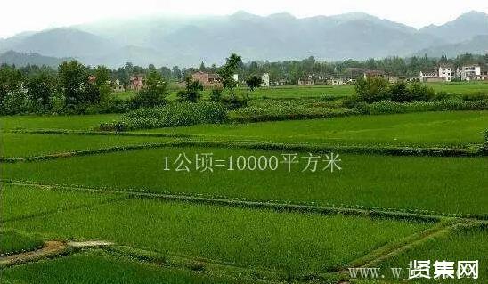 亩和公顷的实用价值