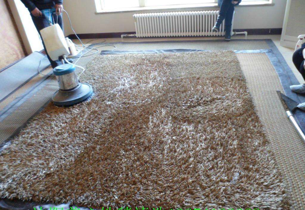 高质量地毯清洗服务的重要性