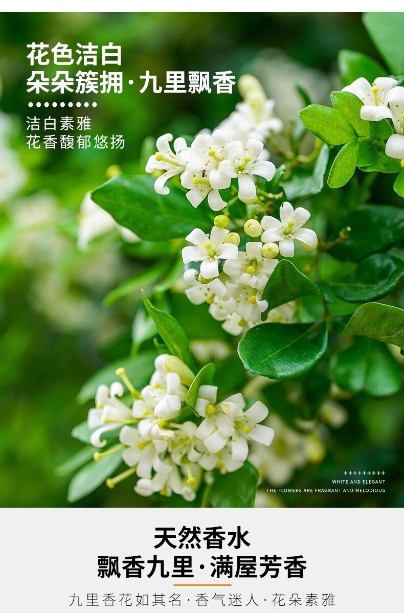 总结
