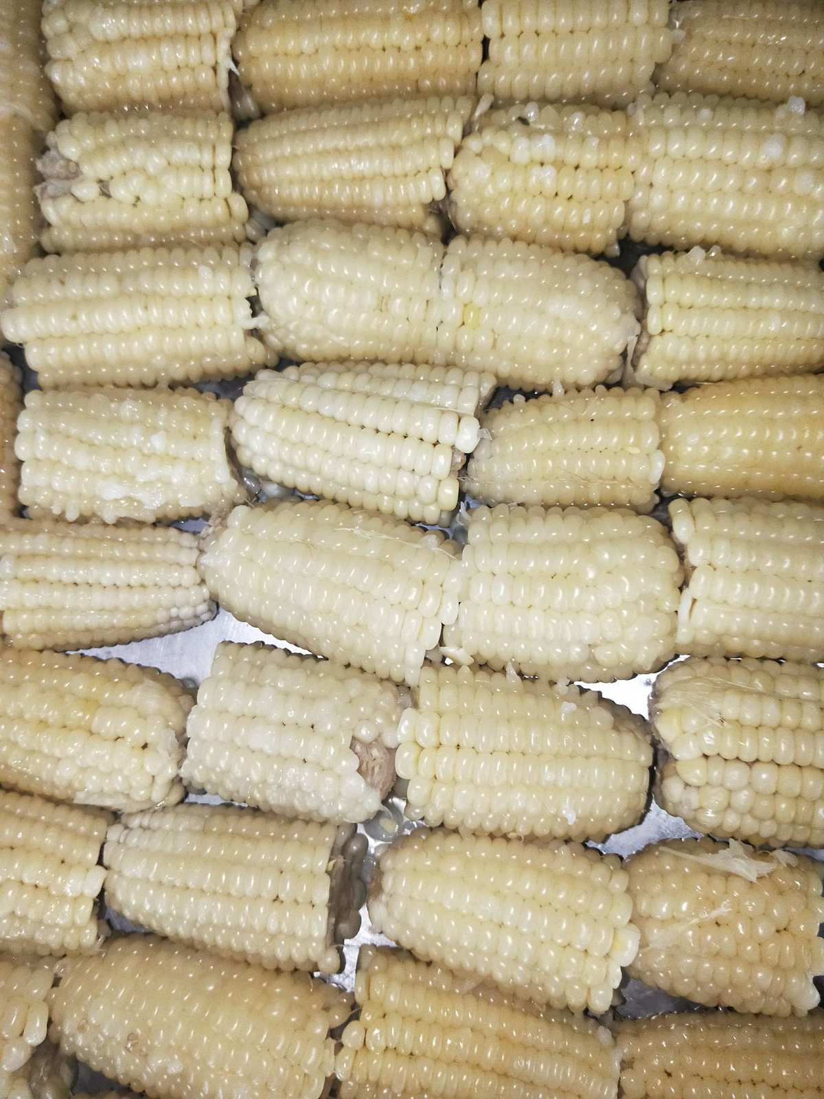 蒸玉米的时间