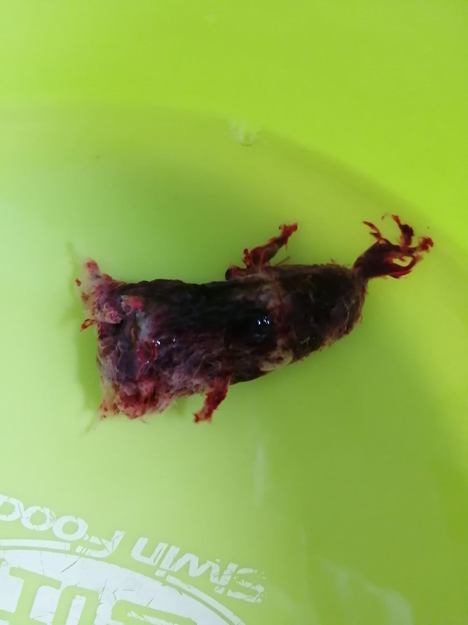 药流后的疼痛症状