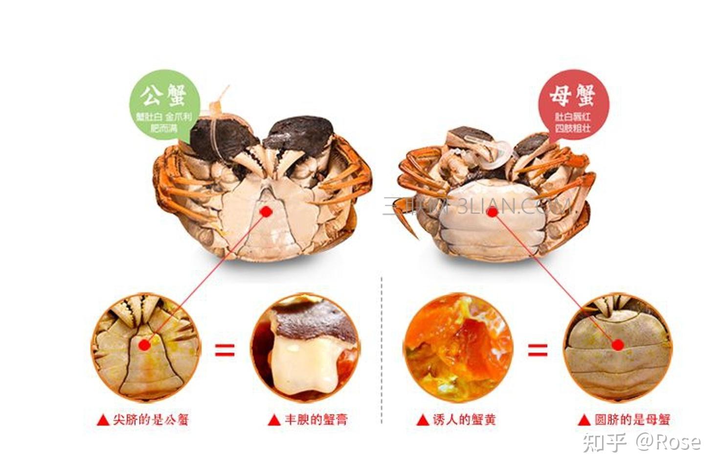 颜色