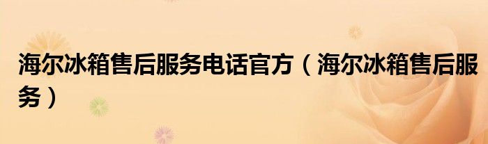 3. 售后服务APP查询