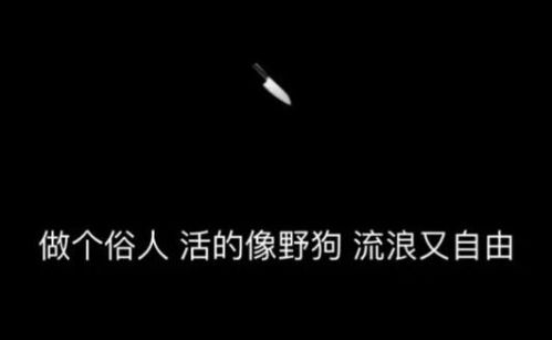 四、结语