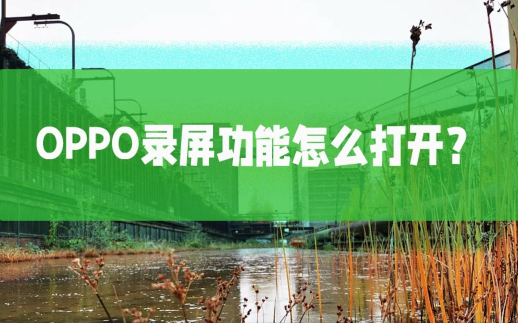 总结