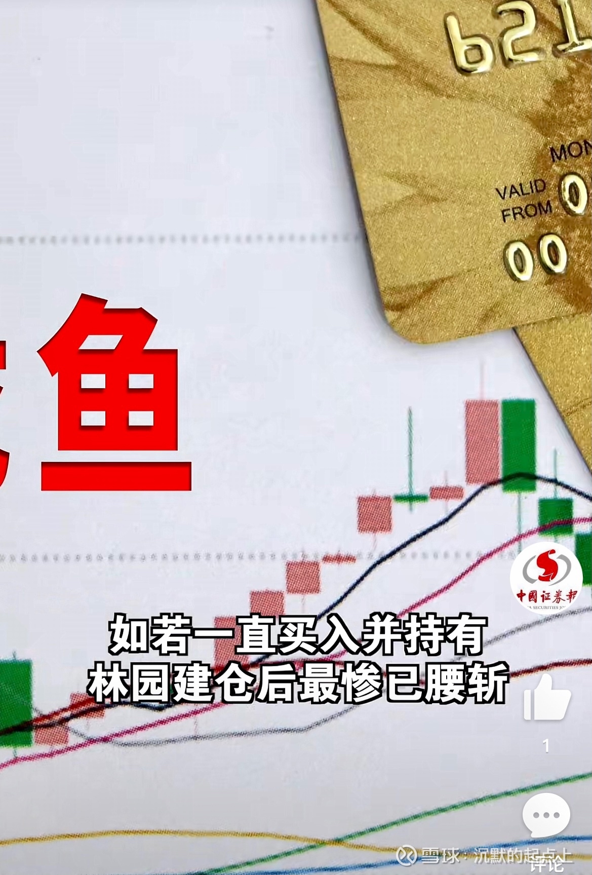 金龙鱼股票的投资建议