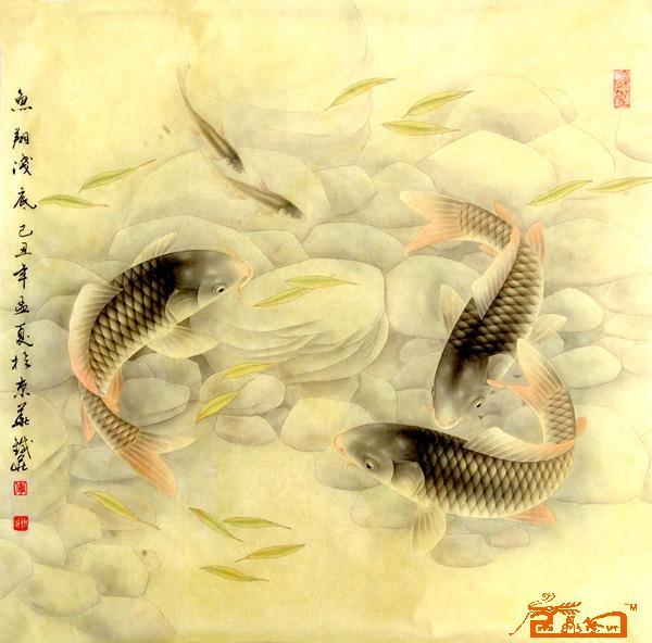 鱼与文化