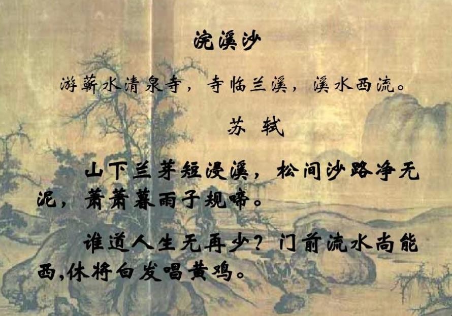 浣溪沙歌词赏析