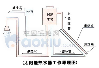 1. 环境中的太阳光能转化为热能