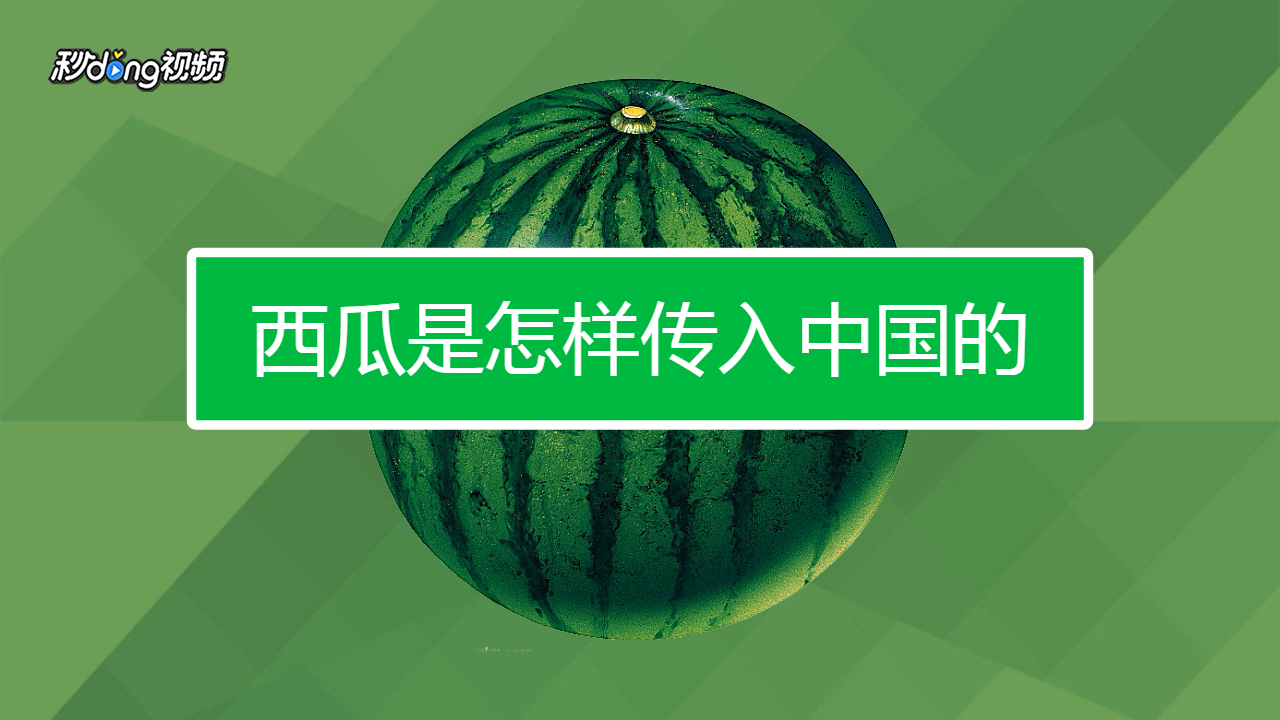 西瓜的营养价值