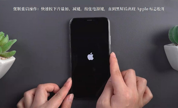 苹果手机怎么强制关机?