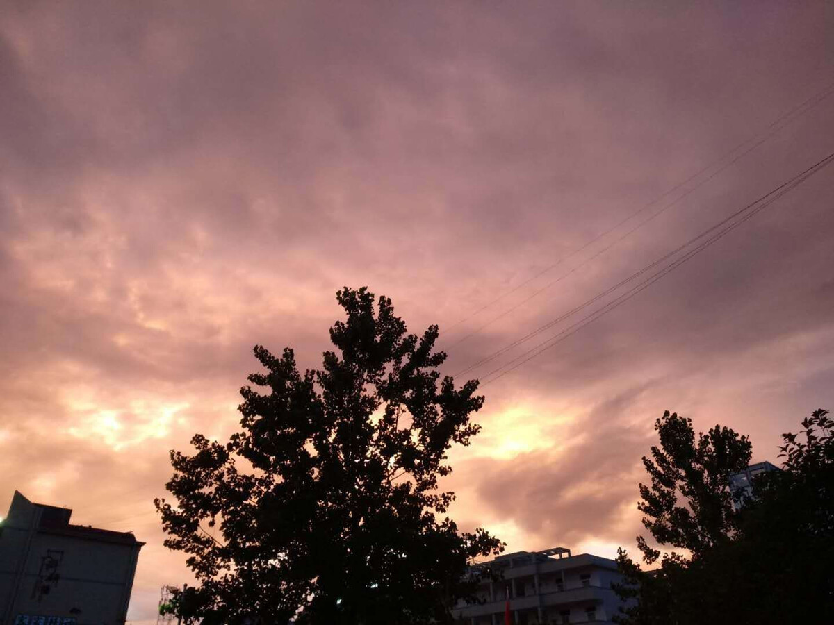《耿耿星河欲曙天》的观后感