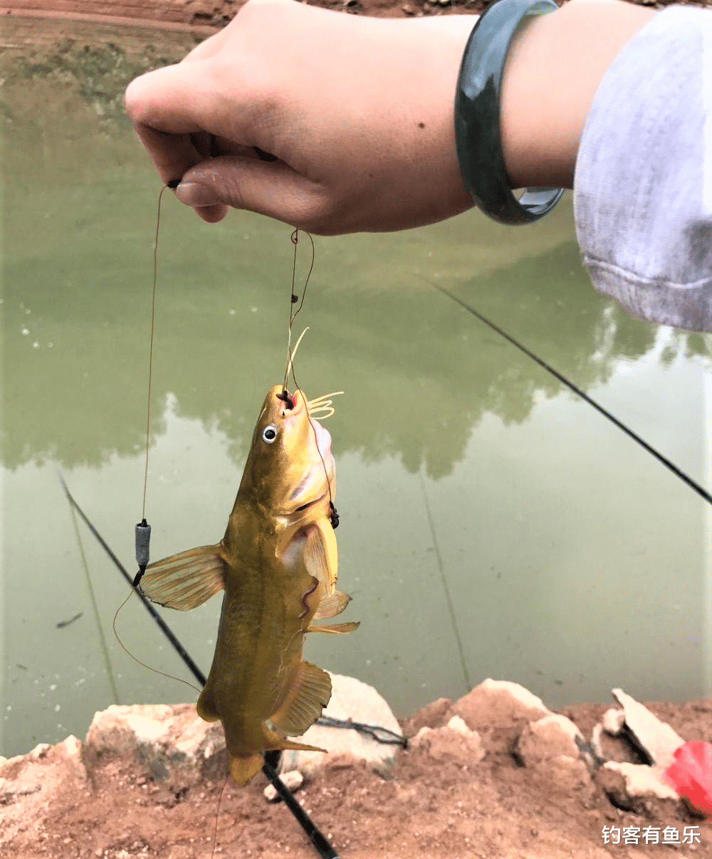 正确的放饵钓法